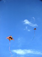 2008 KiteFestival-012.jpg